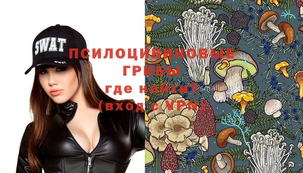 mix Абаза