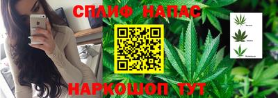 не бодяженный Боровичи