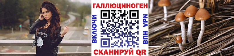 Галлюциногенные грибы Psilocybe  где продают   Иркутск 