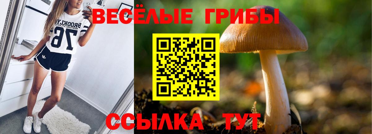Иркутск  Псилоцибиновые грибы GOLDEN TEACHER  Вход с VPN 